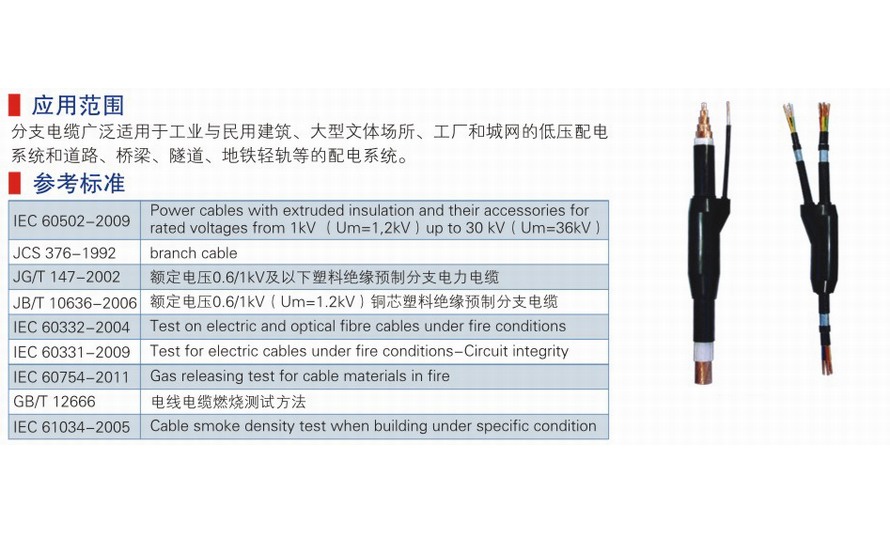 通用型分支电缆